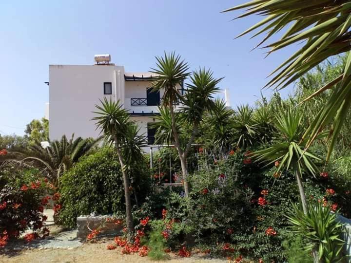 Glafki Studios Syros Megas Gialos - Nites Exterior photo